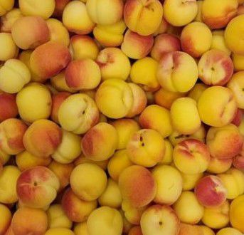 Odoo • Una imagen con una leyenda