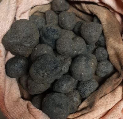 Odoo • Una imagen con una leyenda