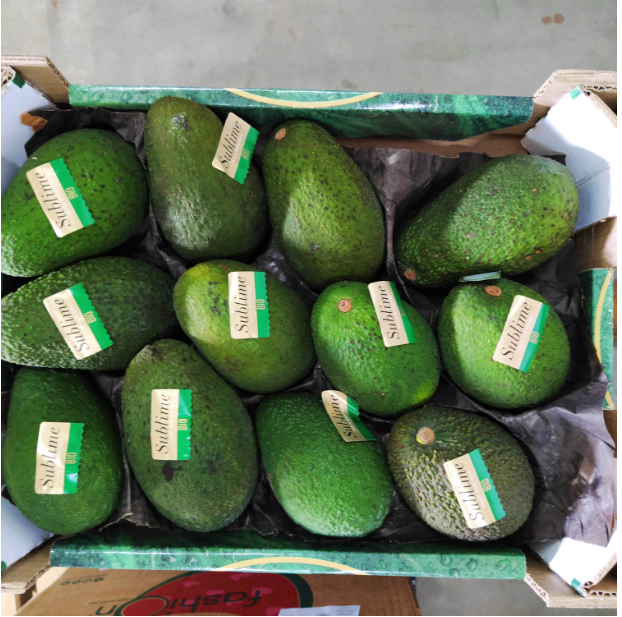 AGUACATE HASS cal 12-16 - KG (Perú)
