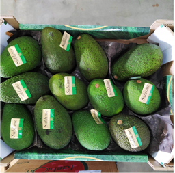 AGUACATE HASS cal 12-16 - KG (Perú)