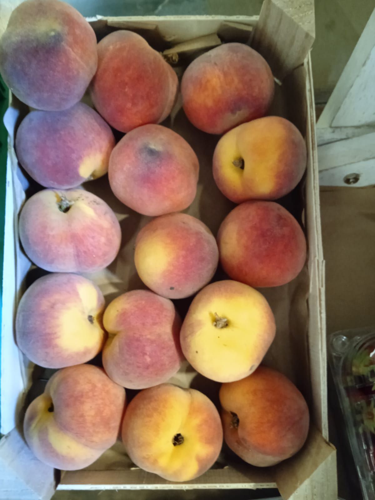 Melocotones ecológicos