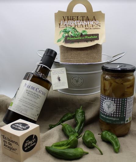 Cesta-Kit "La ecológica"