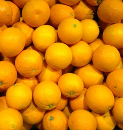 NARANJA ZUMO  - KG (España)