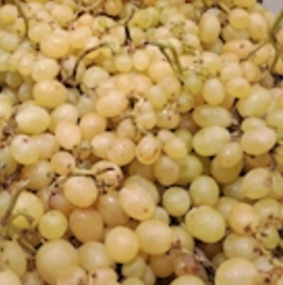 UVA BLANCA  - KG (España)