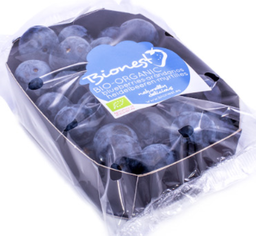 ARANDANOS (125 GR) - TARRINA (España)